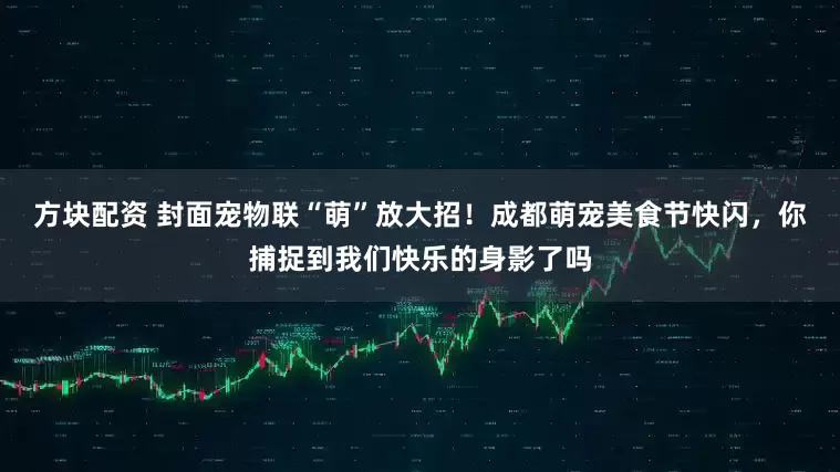 方块配资 封面宠物联“萌”放大招！成都萌宠美食节快闪，你捕捉到我们快乐的身影了吗