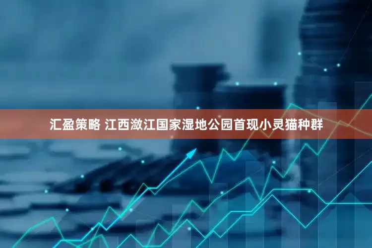 汇盈策略 江西潋江国家湿地公园首现小灵猫种群