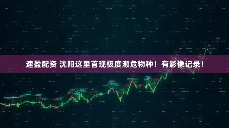速盈配资 沈阳这里首现极度濒危物种！有影像记录！