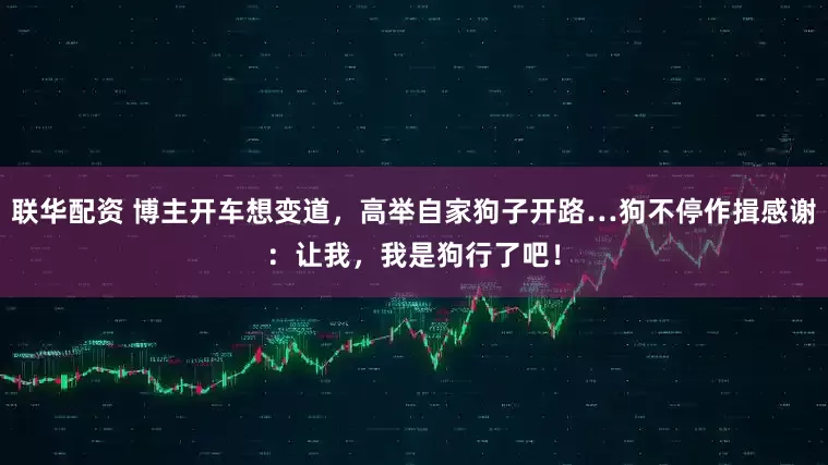 联华配资 博主开车想变道，高举自家狗子开路…狗不停作揖感谢：让我，我是狗行了吧！